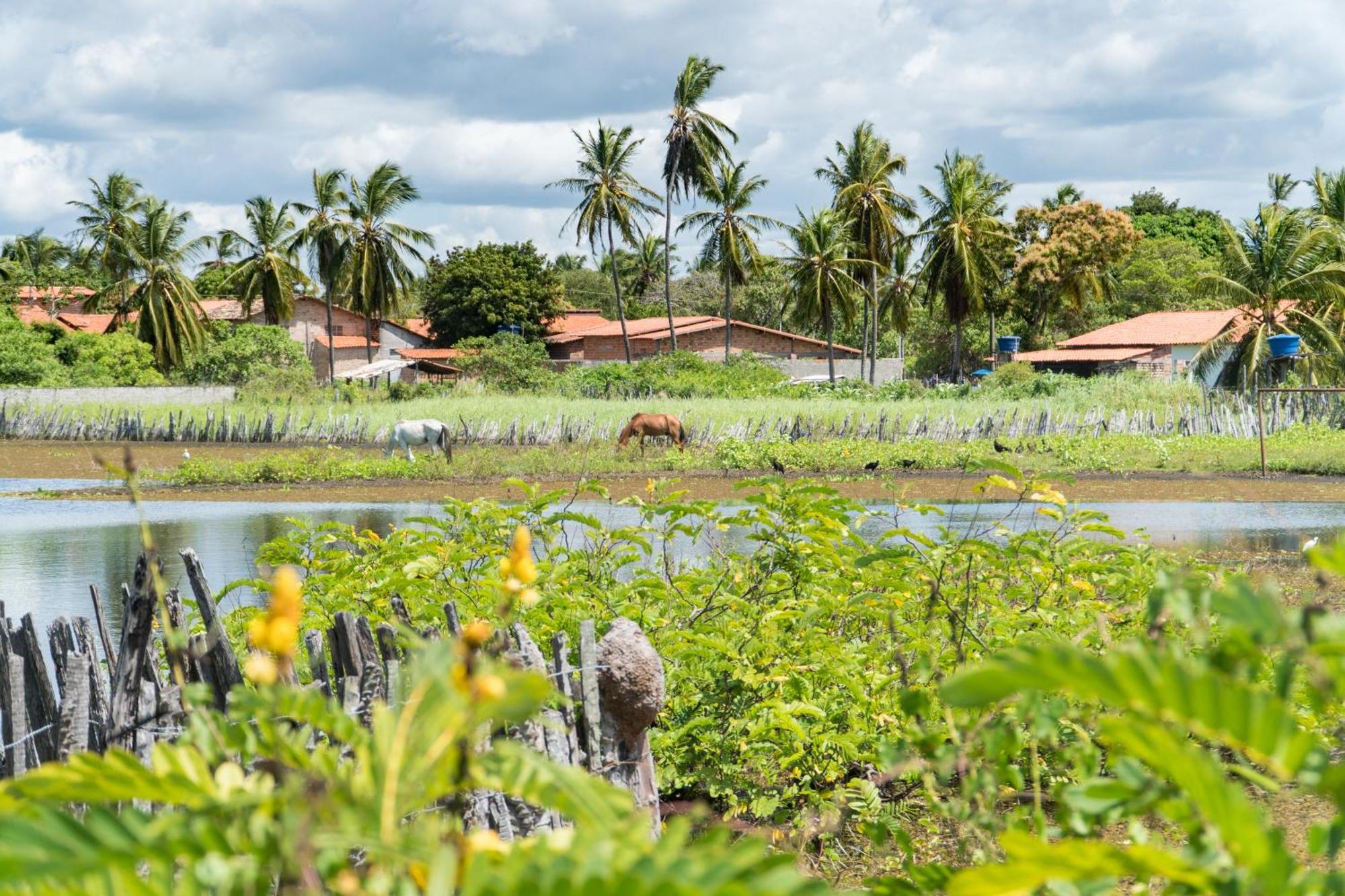 Vila Do Junco Santo Amaro do Maranhao エクステリア 写真